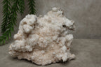 Witte aragoniet cluster #0772