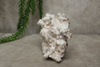 Witte aragoniet cluster #0772