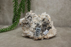 Witte aragoniet cluster #0772