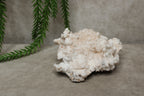 Witte aragoniet cluster #0772