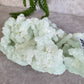 Prehniet cluster #1246