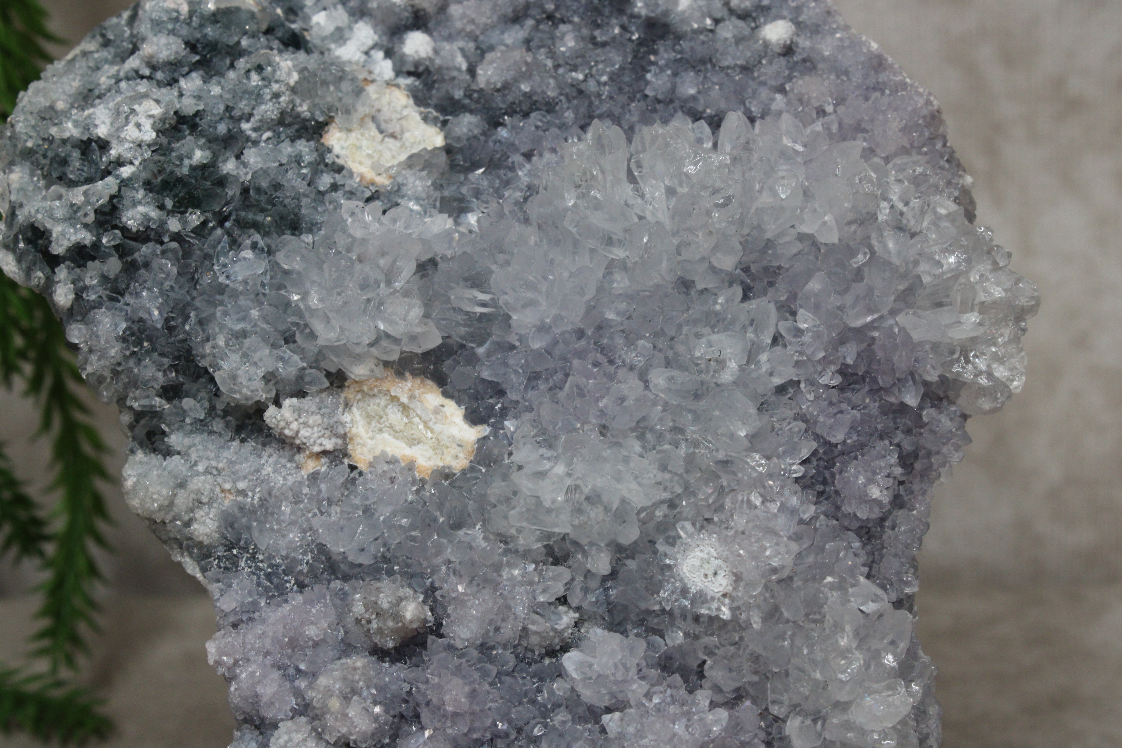 Flower amethist #1732