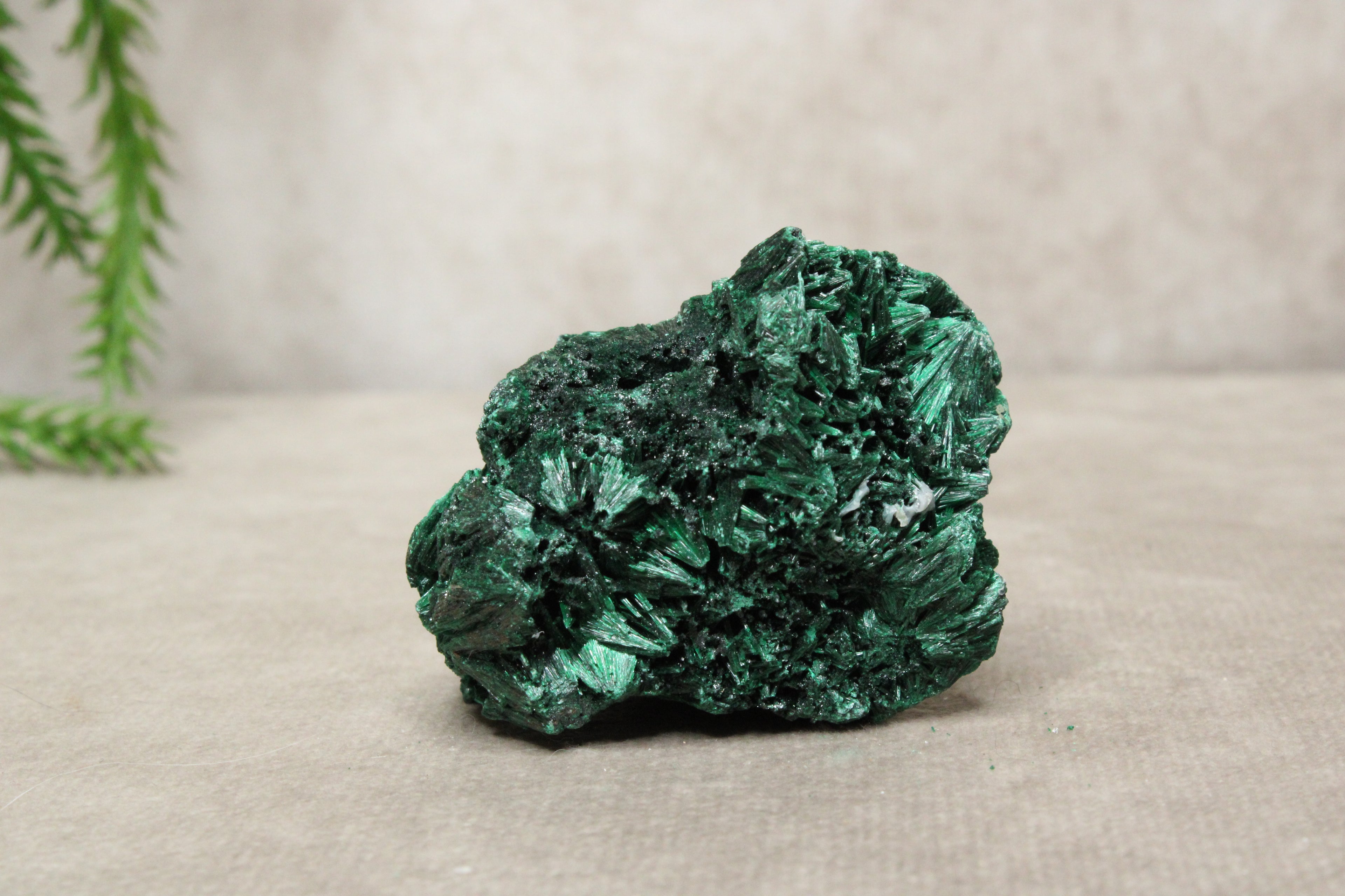 Fluweel malachiet #1042