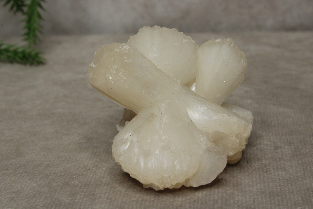 Calciet strik #1043