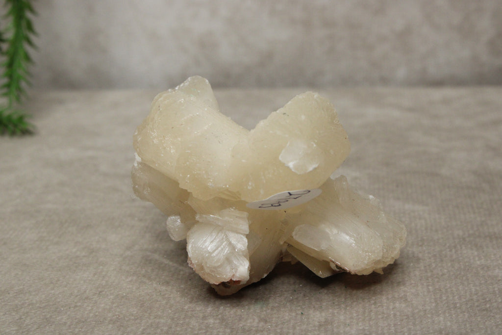 Calciet strik #1043