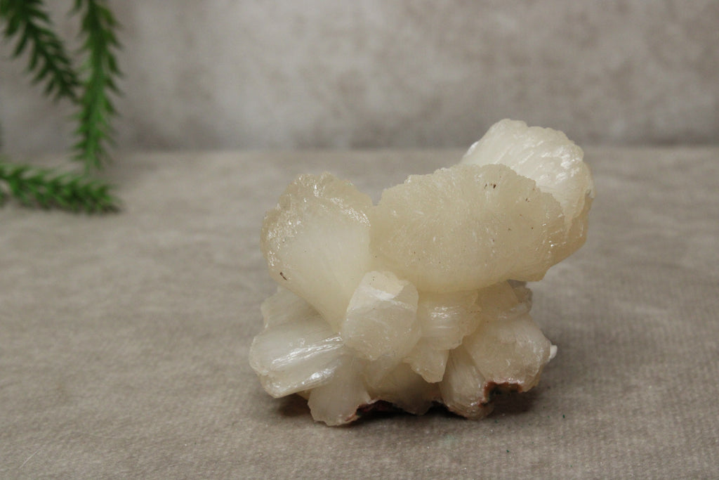 Calciet strik #1043