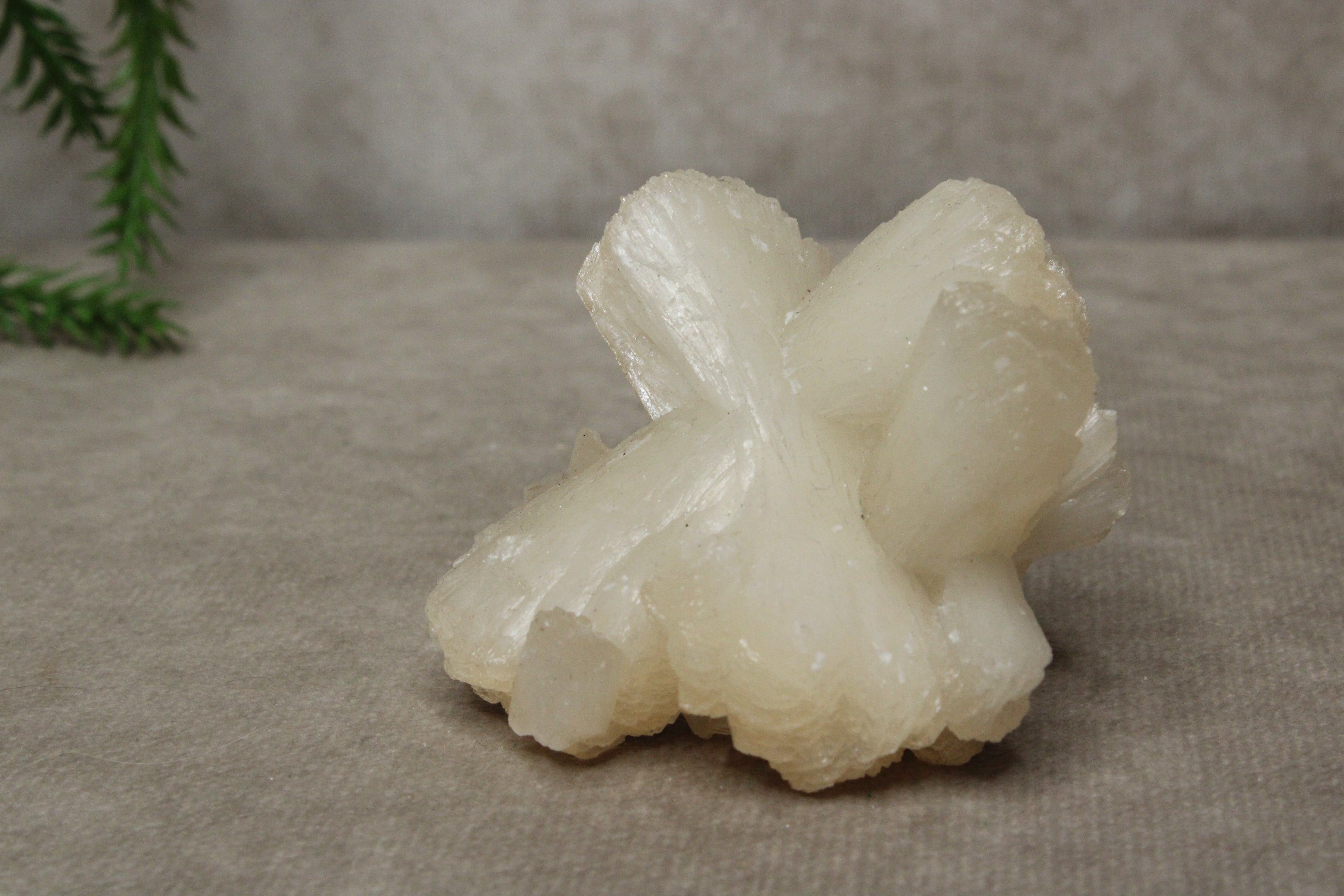Calciet strik #1043