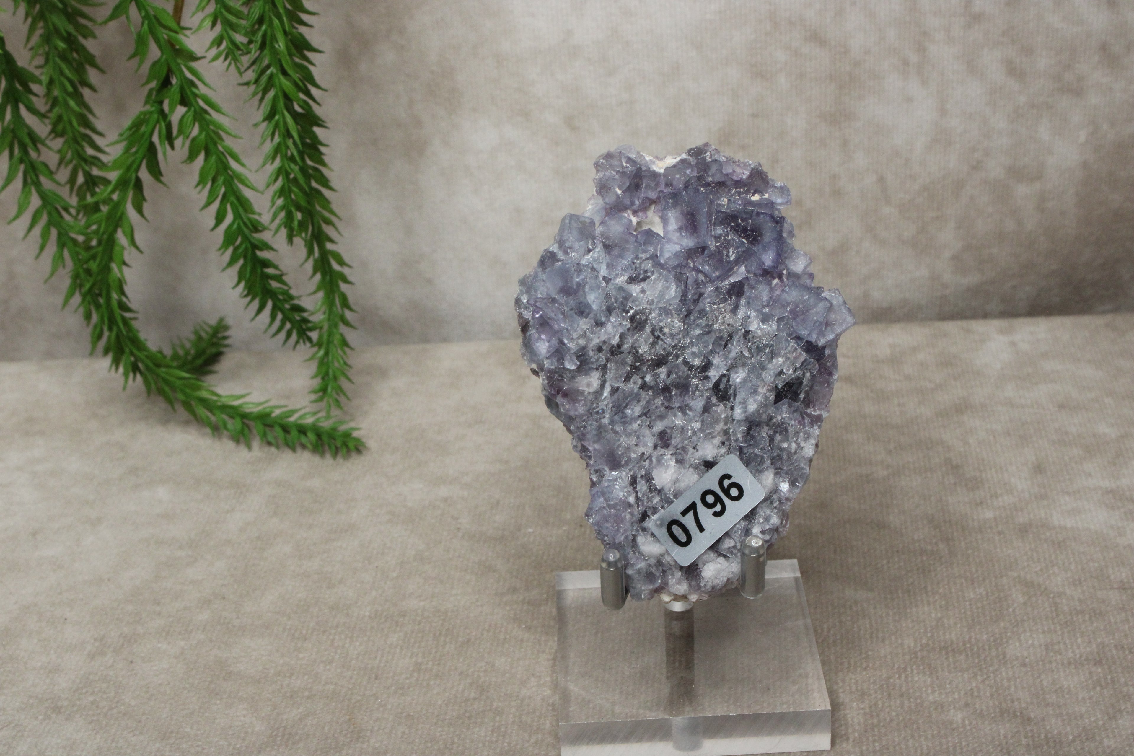 Paarse Fluoriet #0796