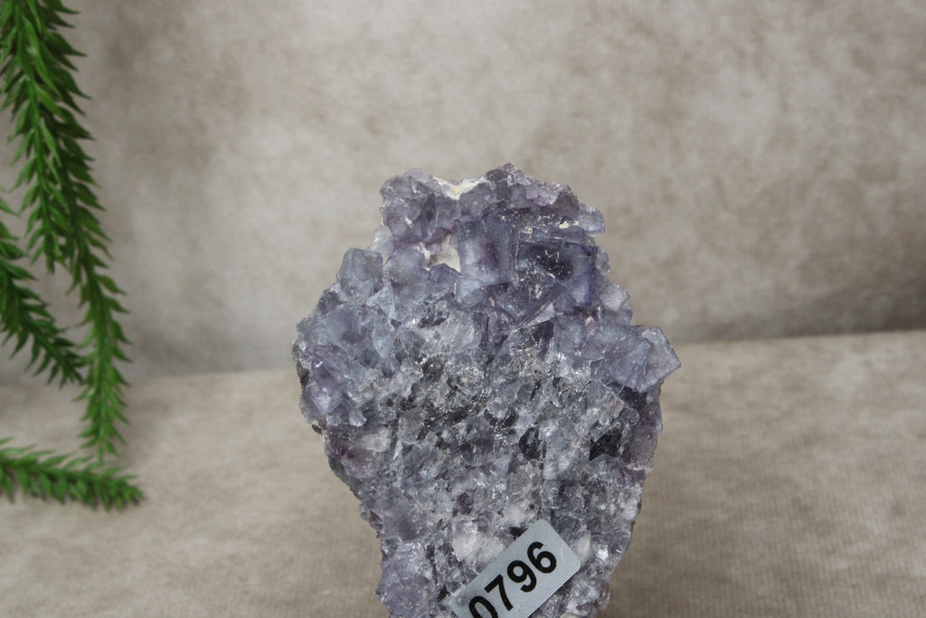 Paarse Fluoriet #0796