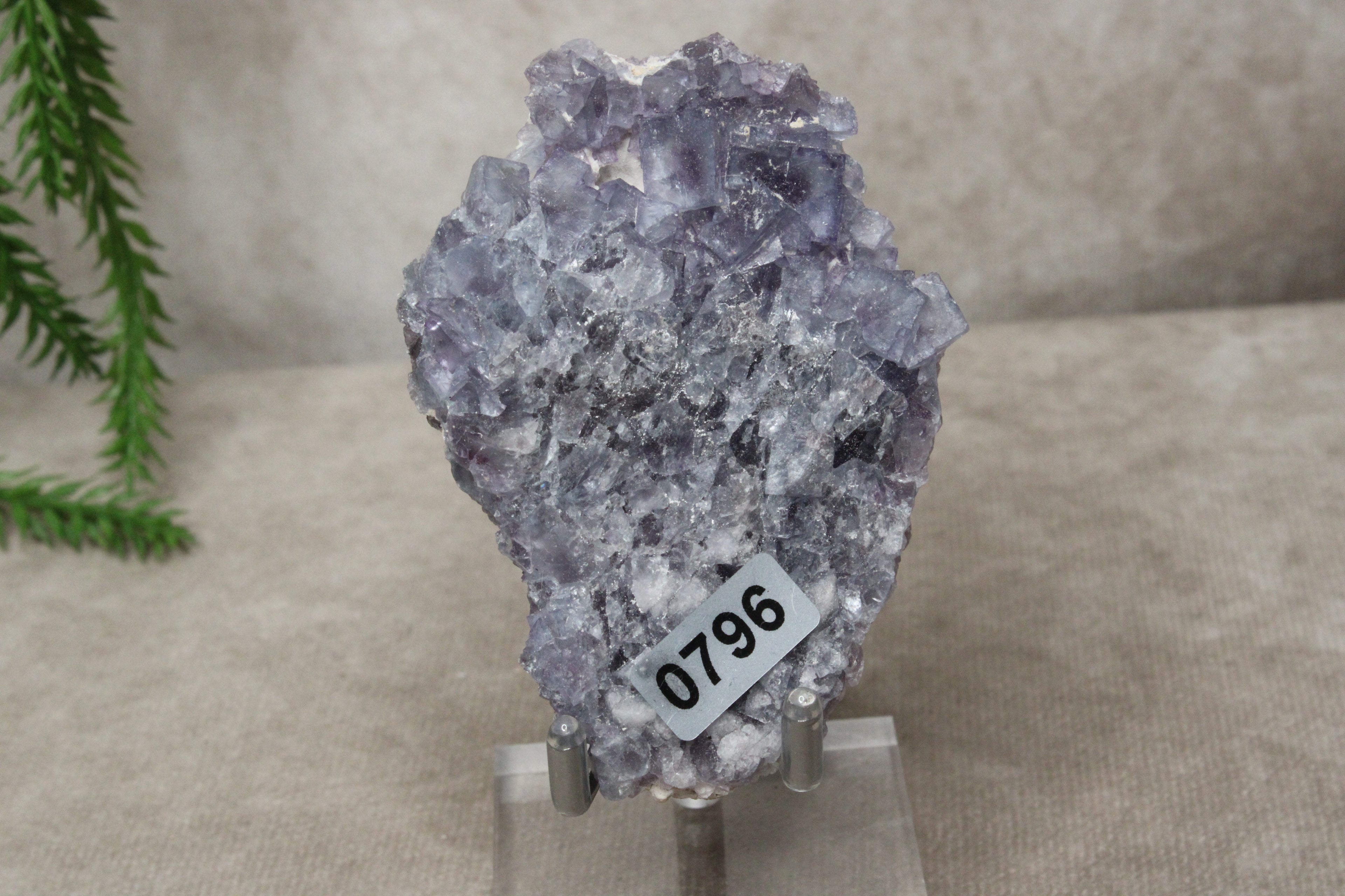 Paarse Fluoriet #0796