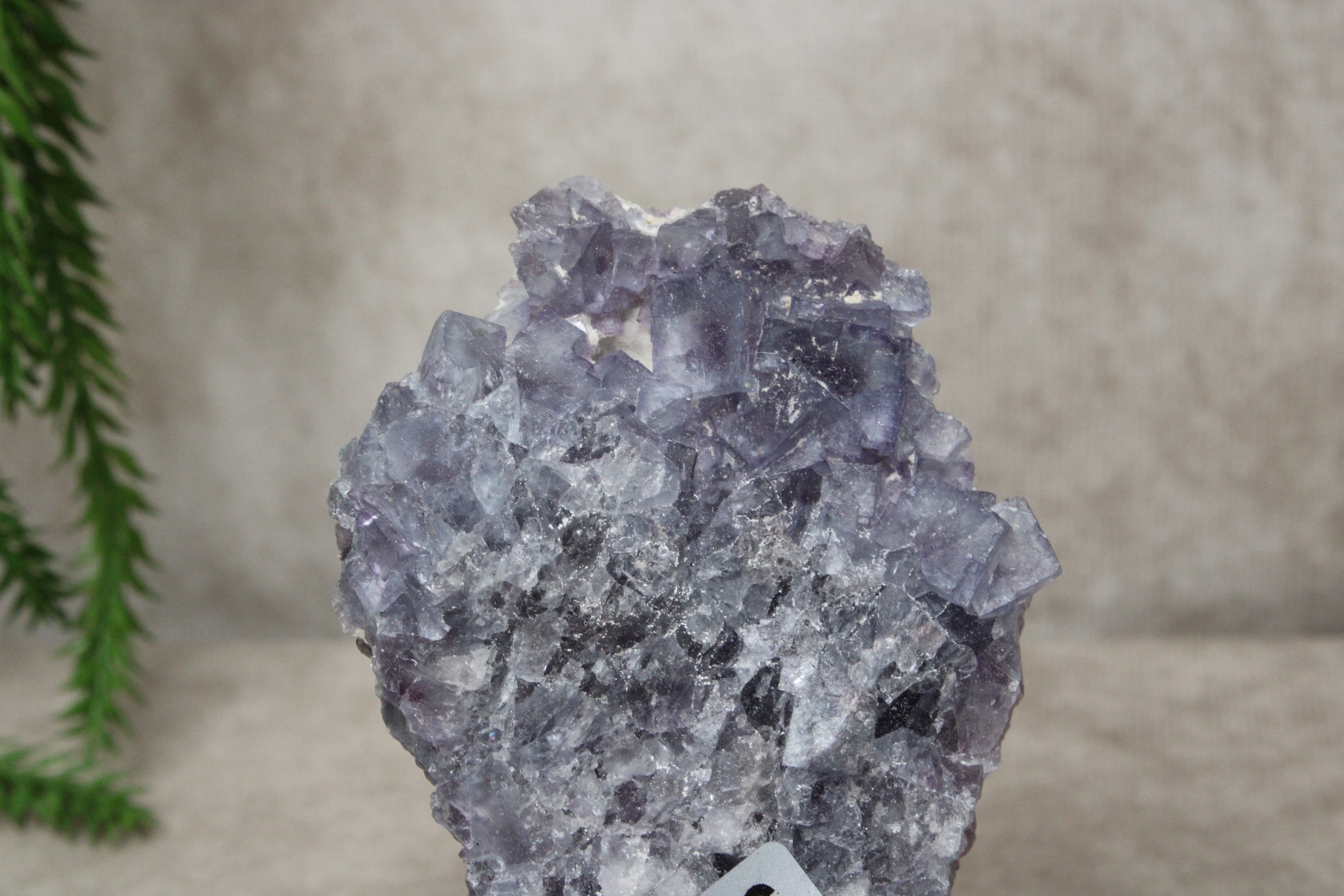 Paarse Fluoriet #0796