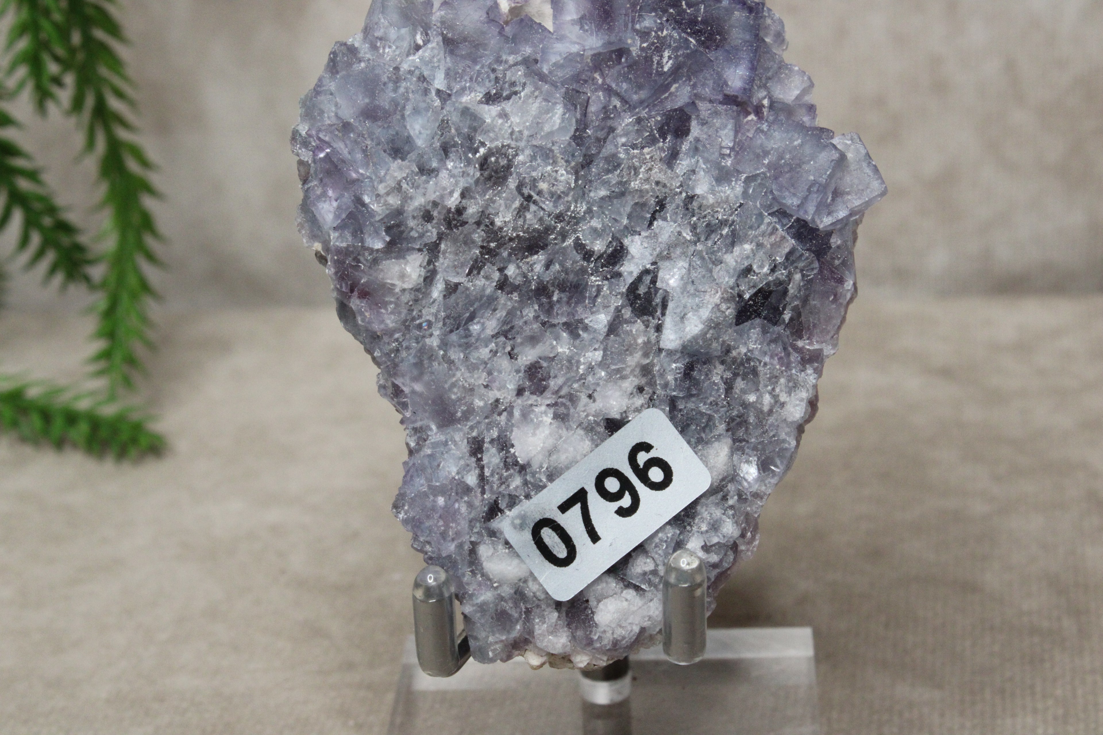 Paarse Fluoriet #0796