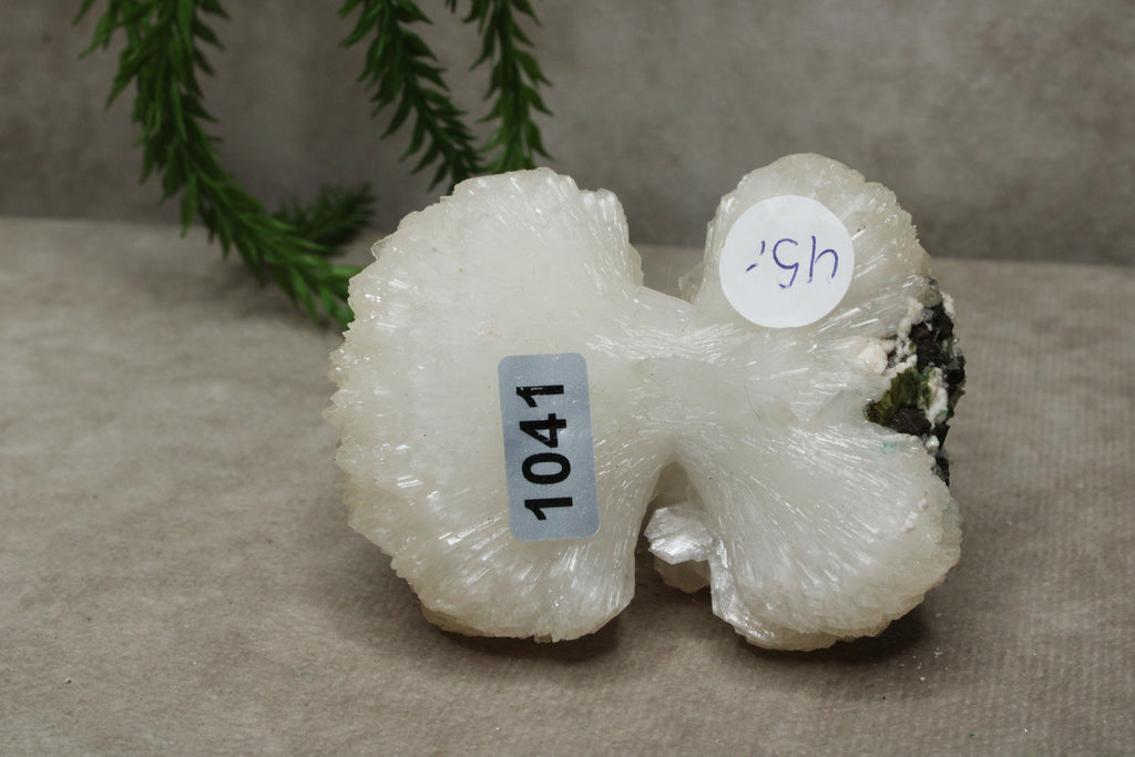 Calciet strik #1041