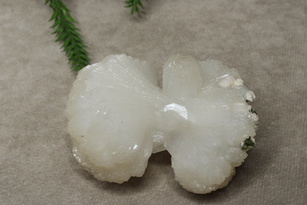 Calciet strik #1041