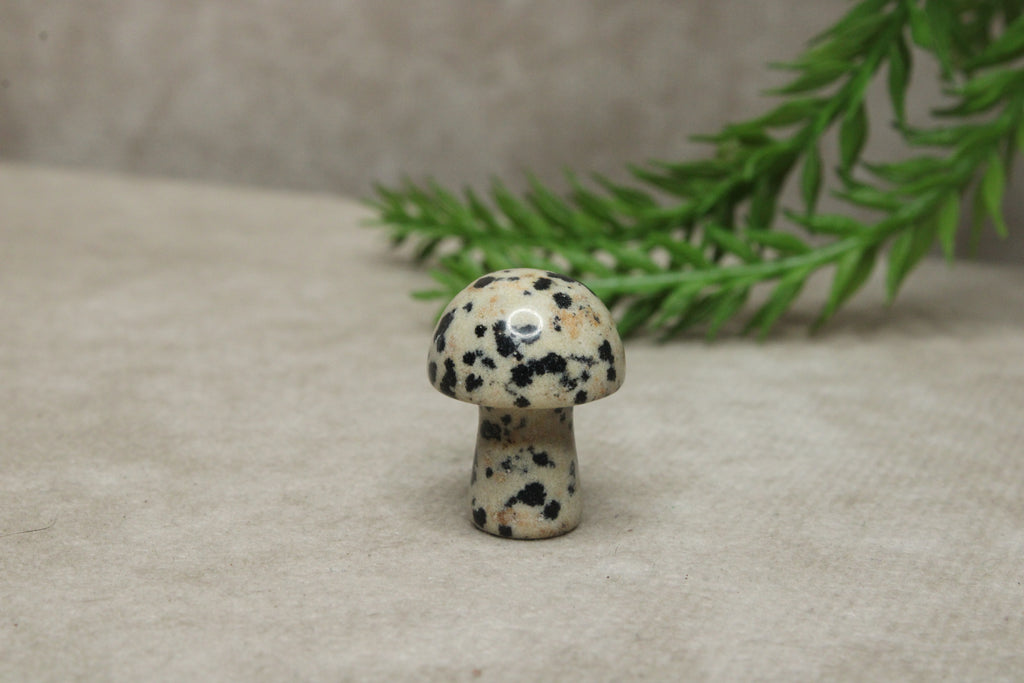 Mini paddenstoelen
