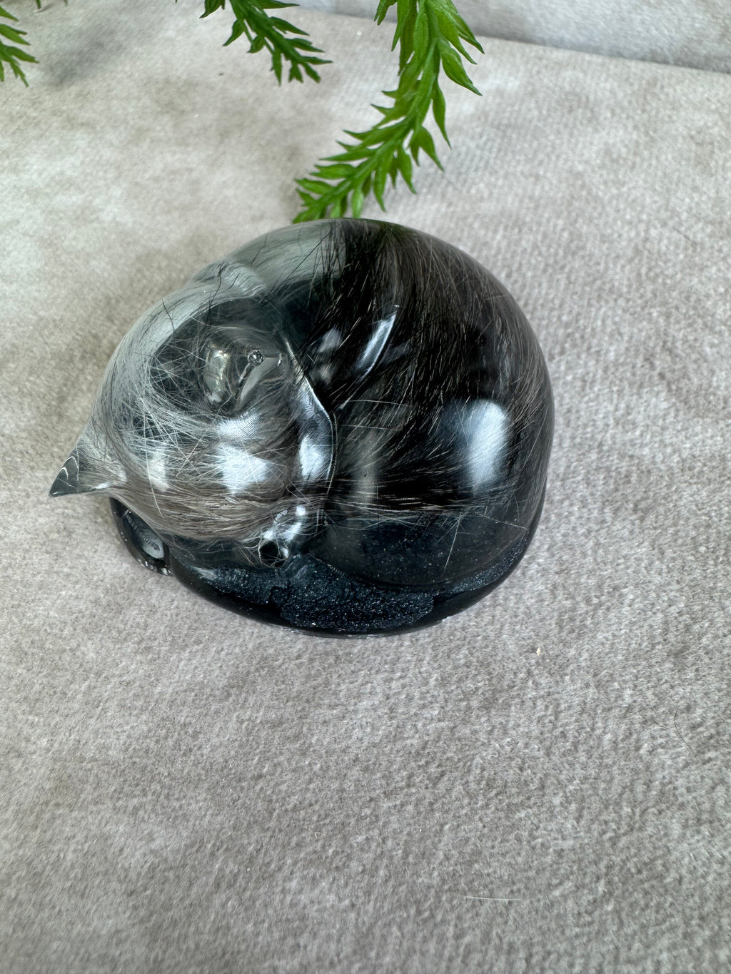 Epoxy Kat helemaal opgekruld