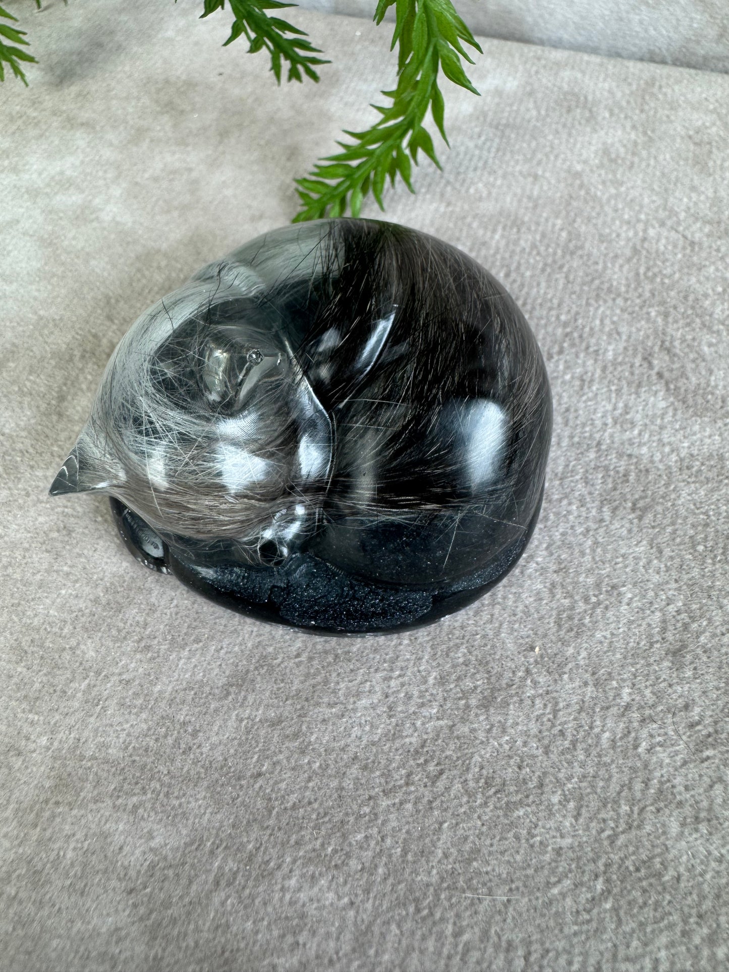 Epoxy Kat helemaal opgekruld
