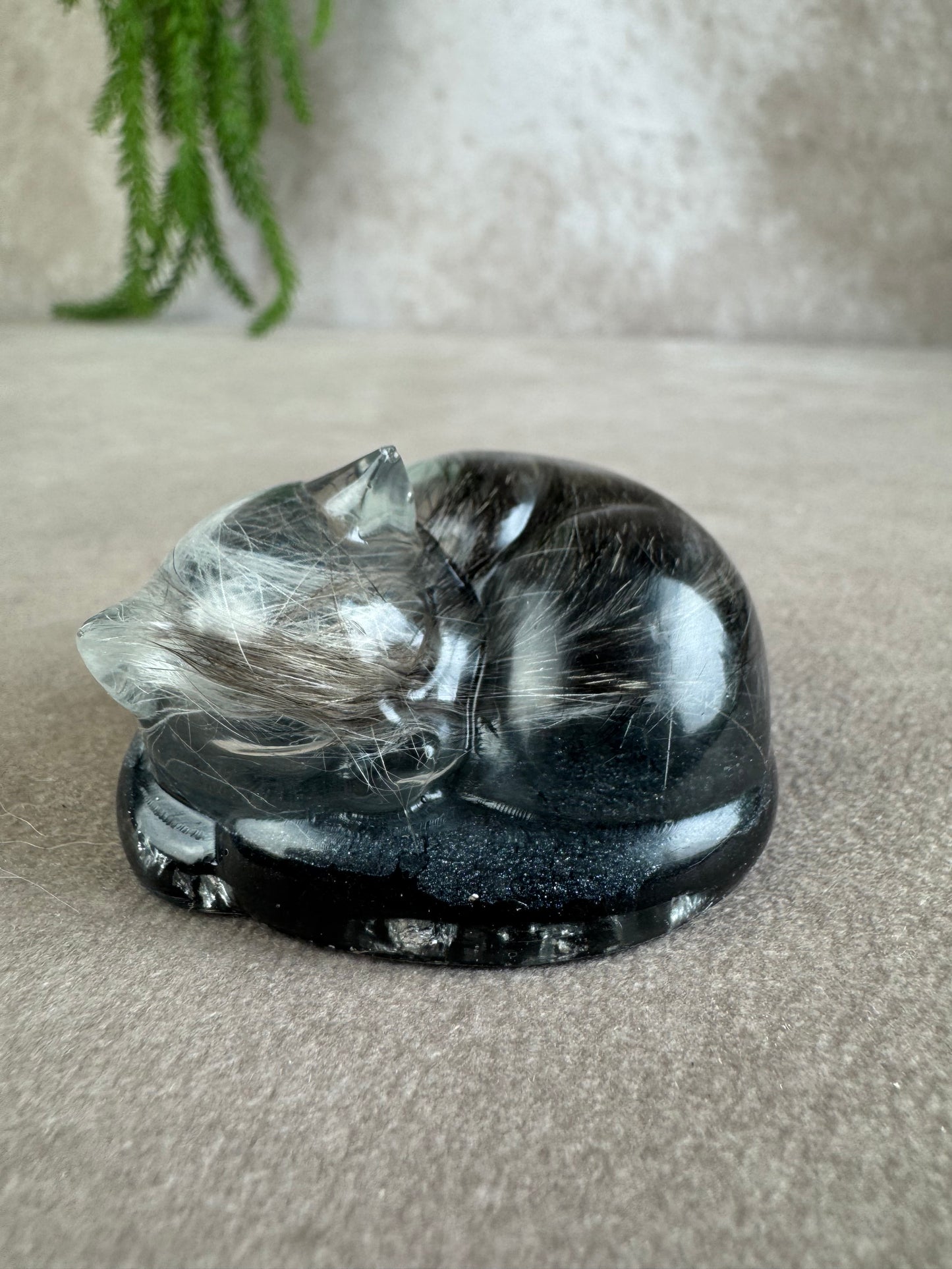 Epoxy Kat helemaal opgekruld