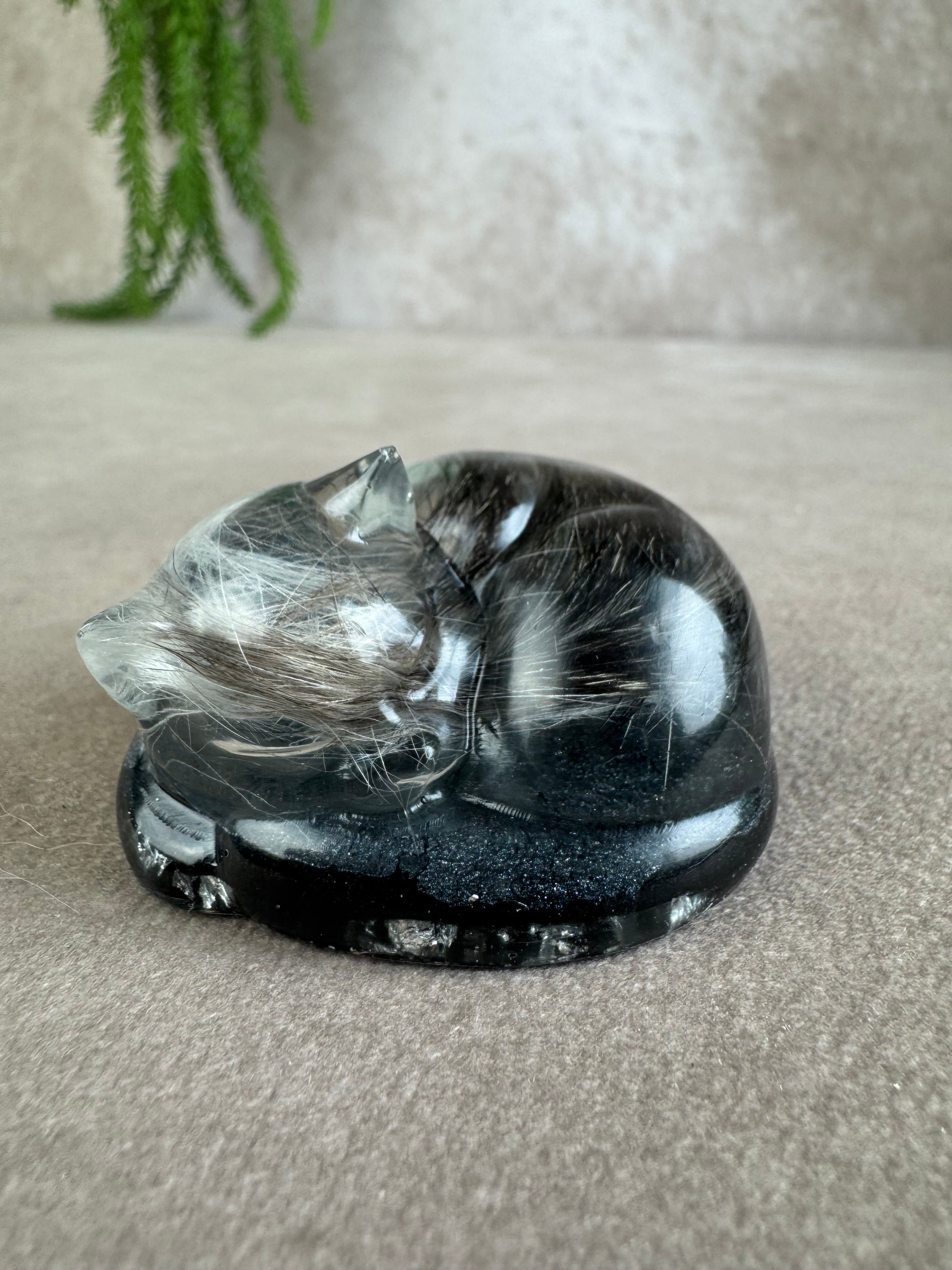 Epoxy Kat helemaal opgekruld