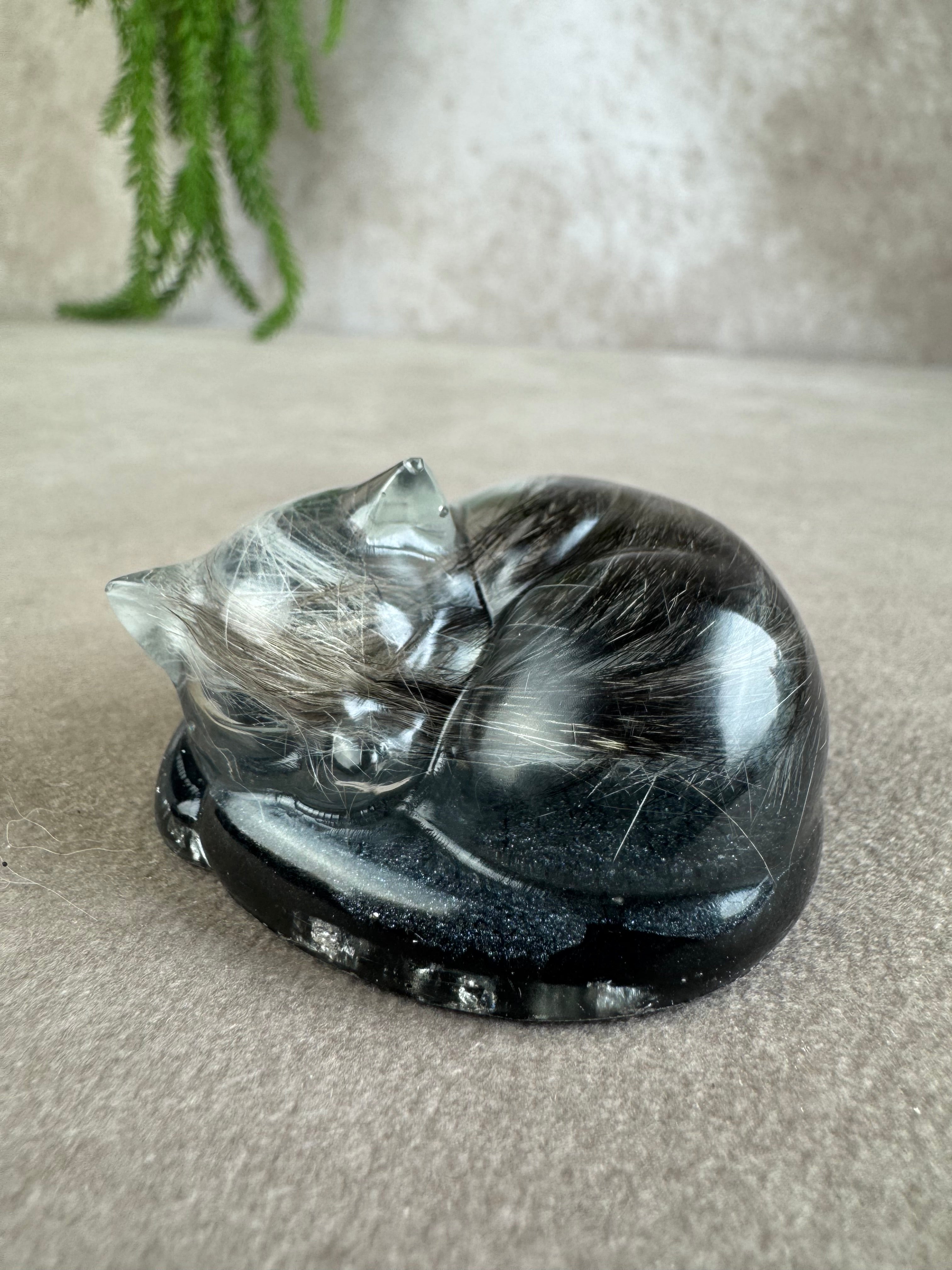 Epoxy Kat helemaal opgekruld