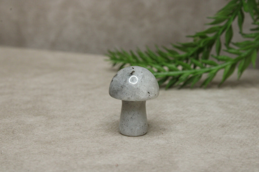 Mini paddenstoelen