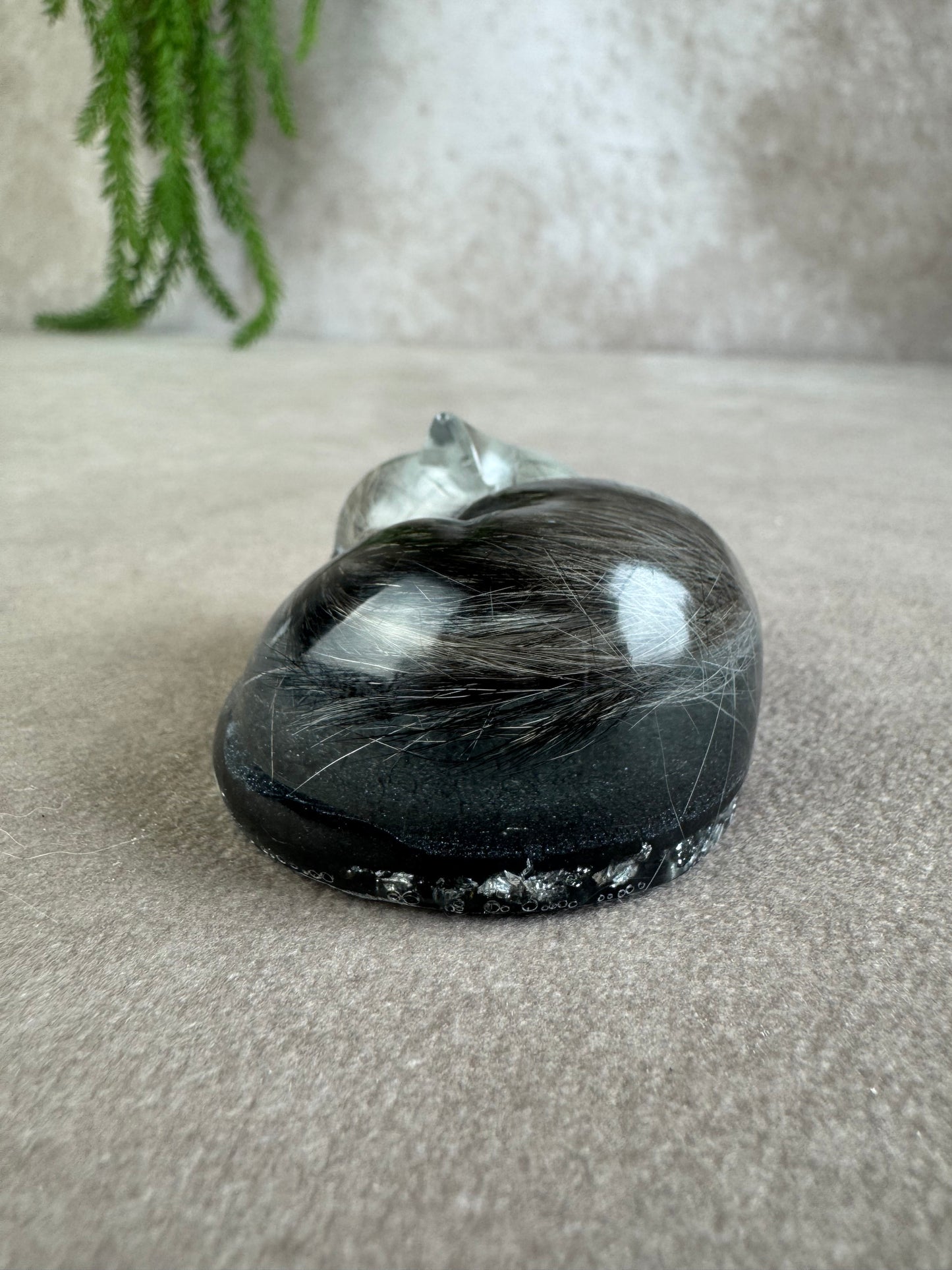 Epoxy Kat helemaal opgekruld