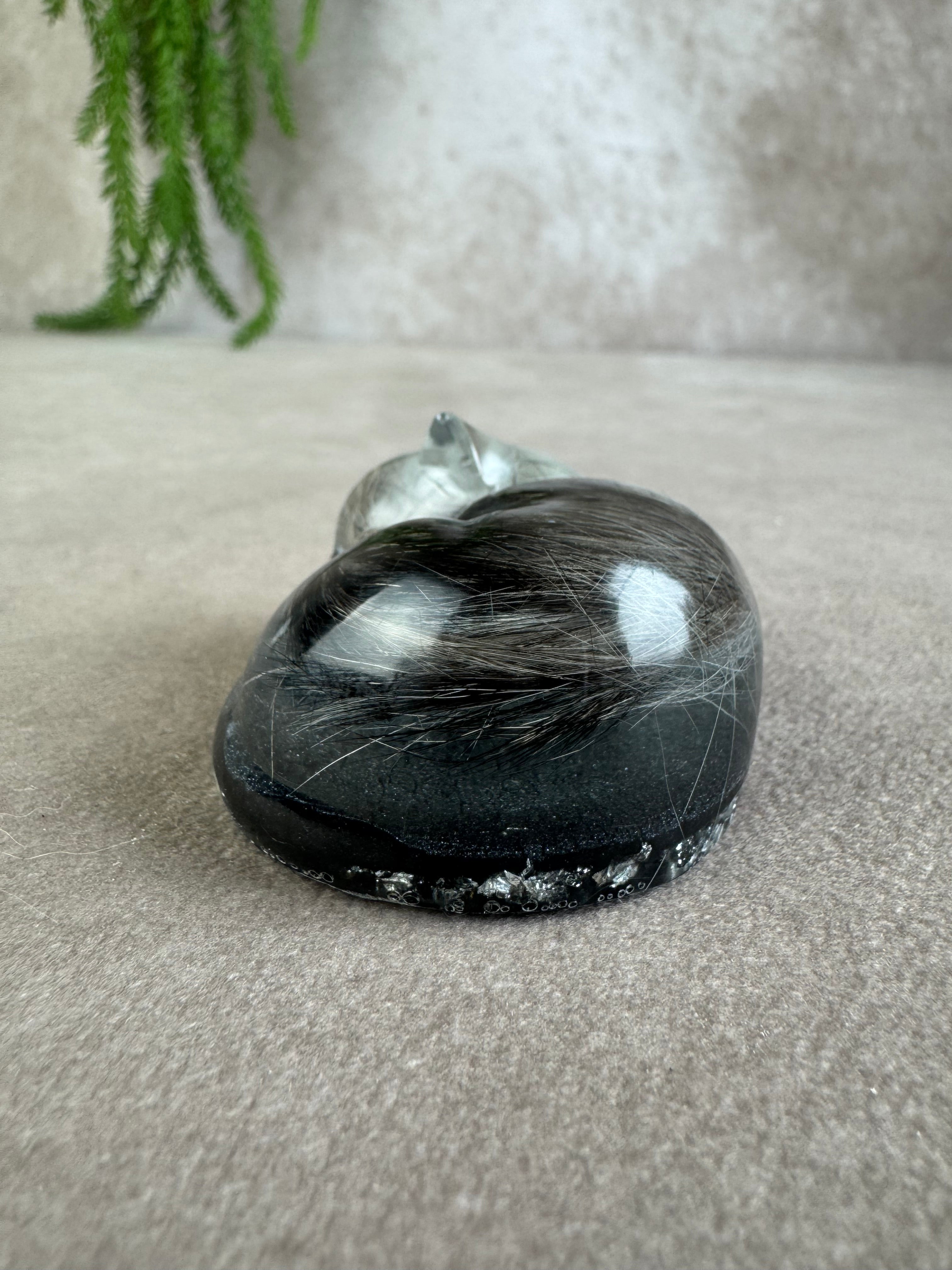 Epoxy Kat helemaal opgekruld