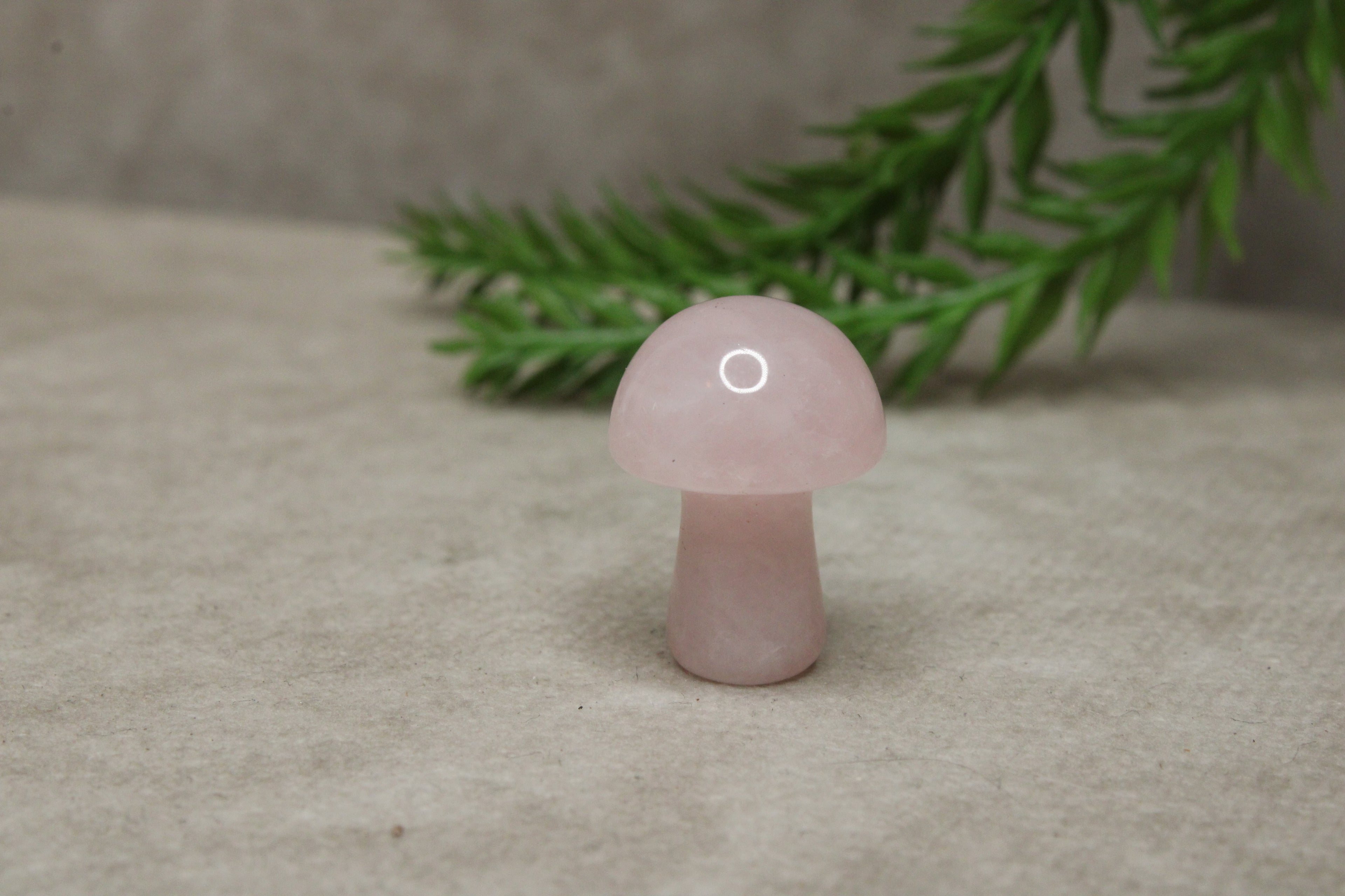Mini paddenstoelen