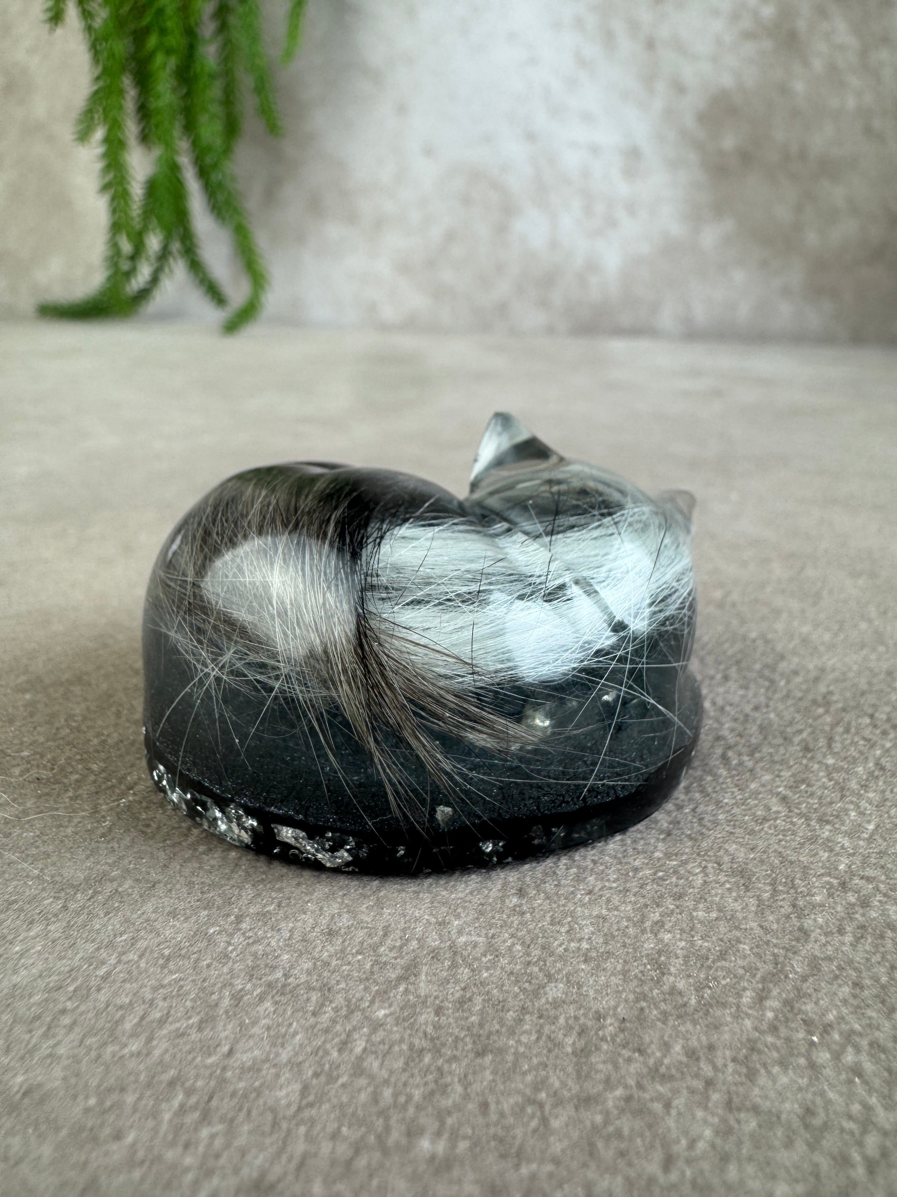 Epoxy Kat helemaal opgekruld