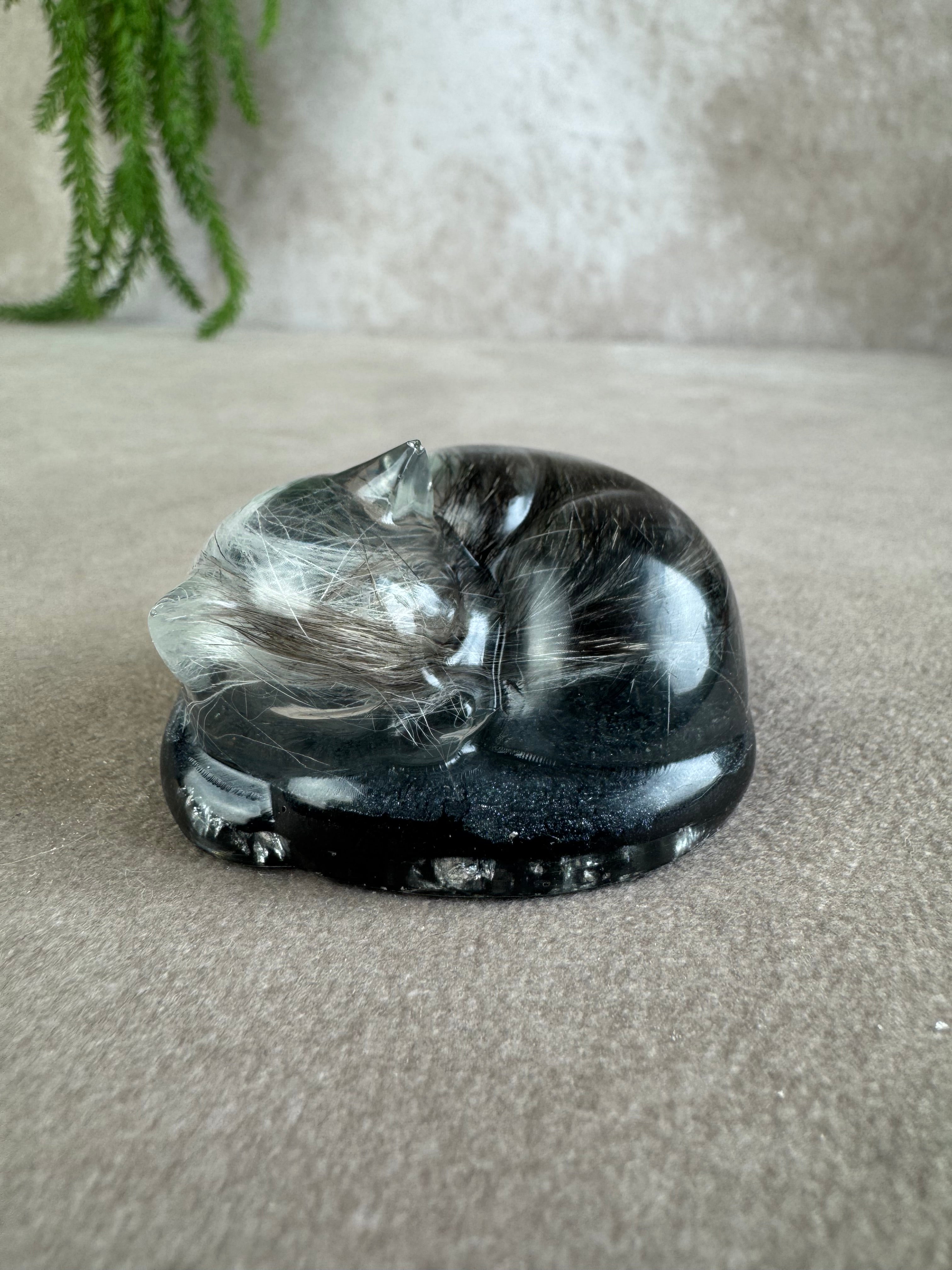 Epoxy Kat helemaal opgekruld