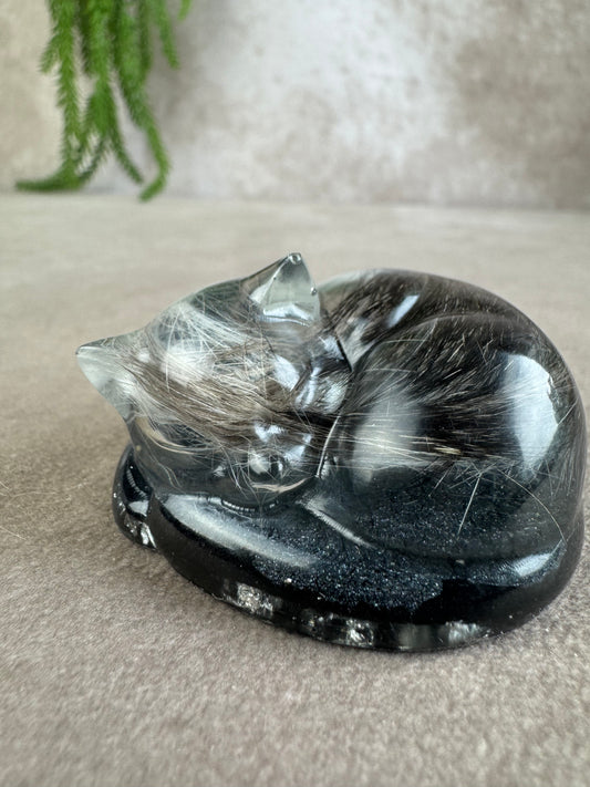 Epoxy Kat helemaal opgekruld