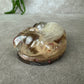 Epoxy Hondje opgerold