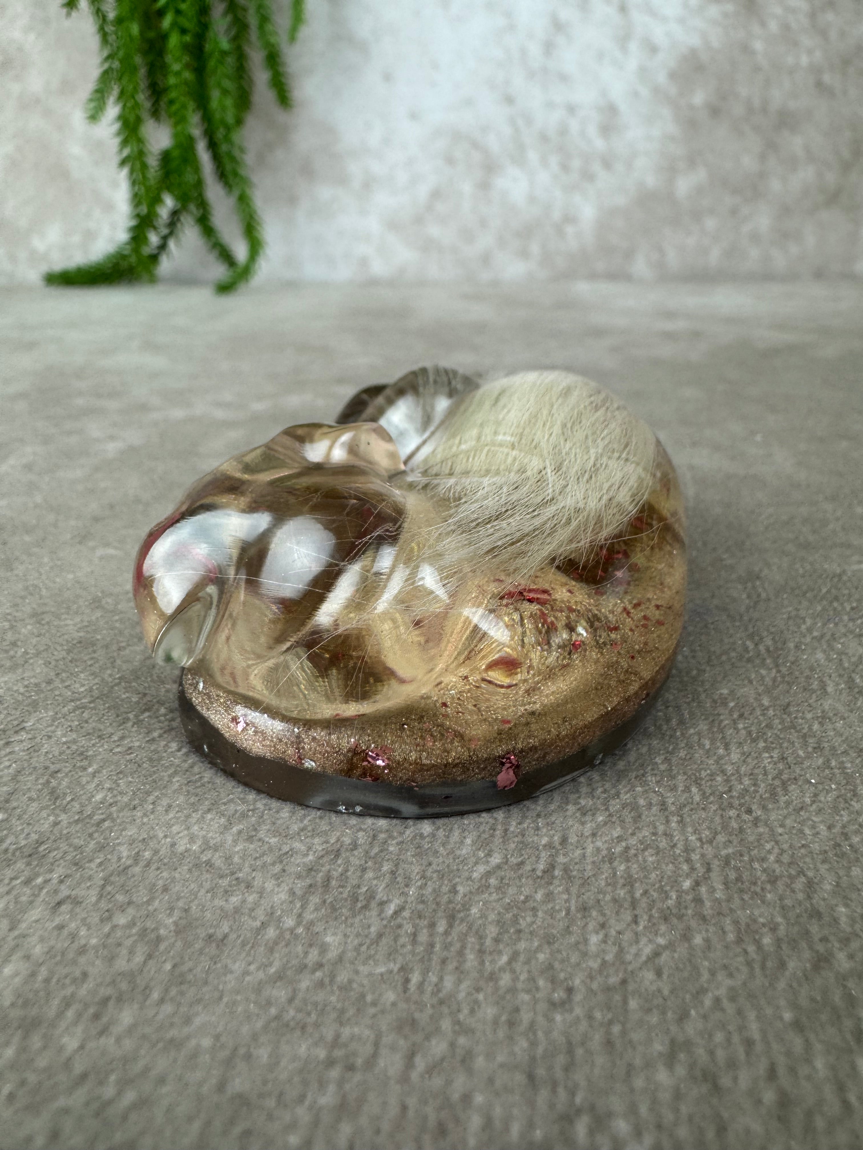 Epoxy Hondje opgerold