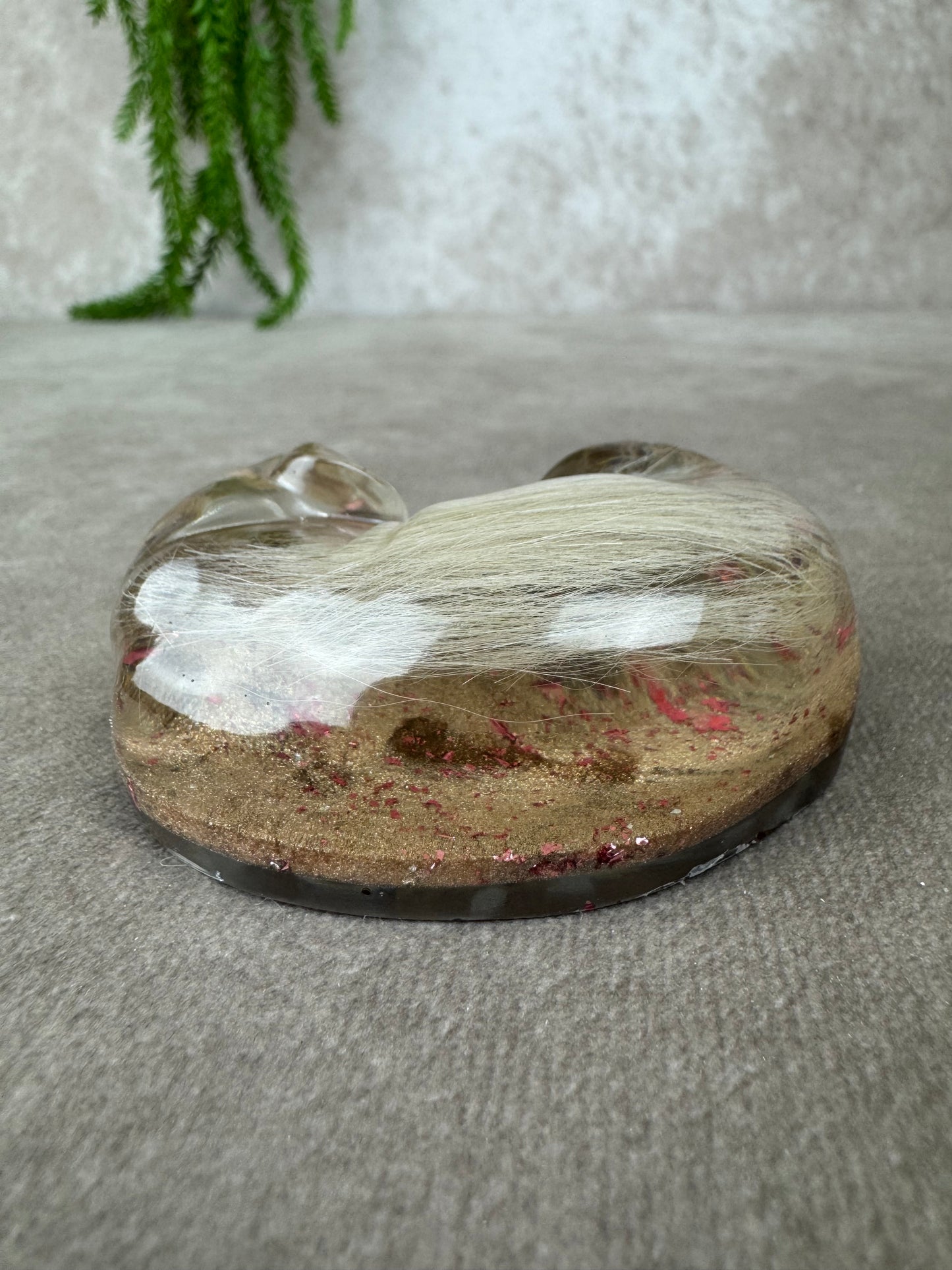 Epoxy Hondje opgerold