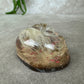 Epoxy Hondje opgerold