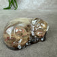 Epoxy Hondje opgerold
