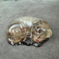 Epoxy Hondje opgerold