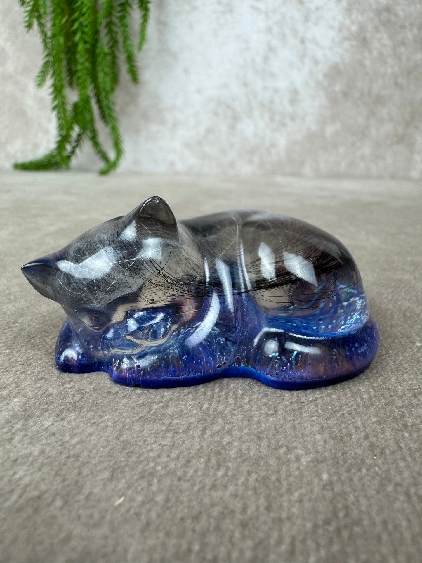 Epoxy Kat kijkend