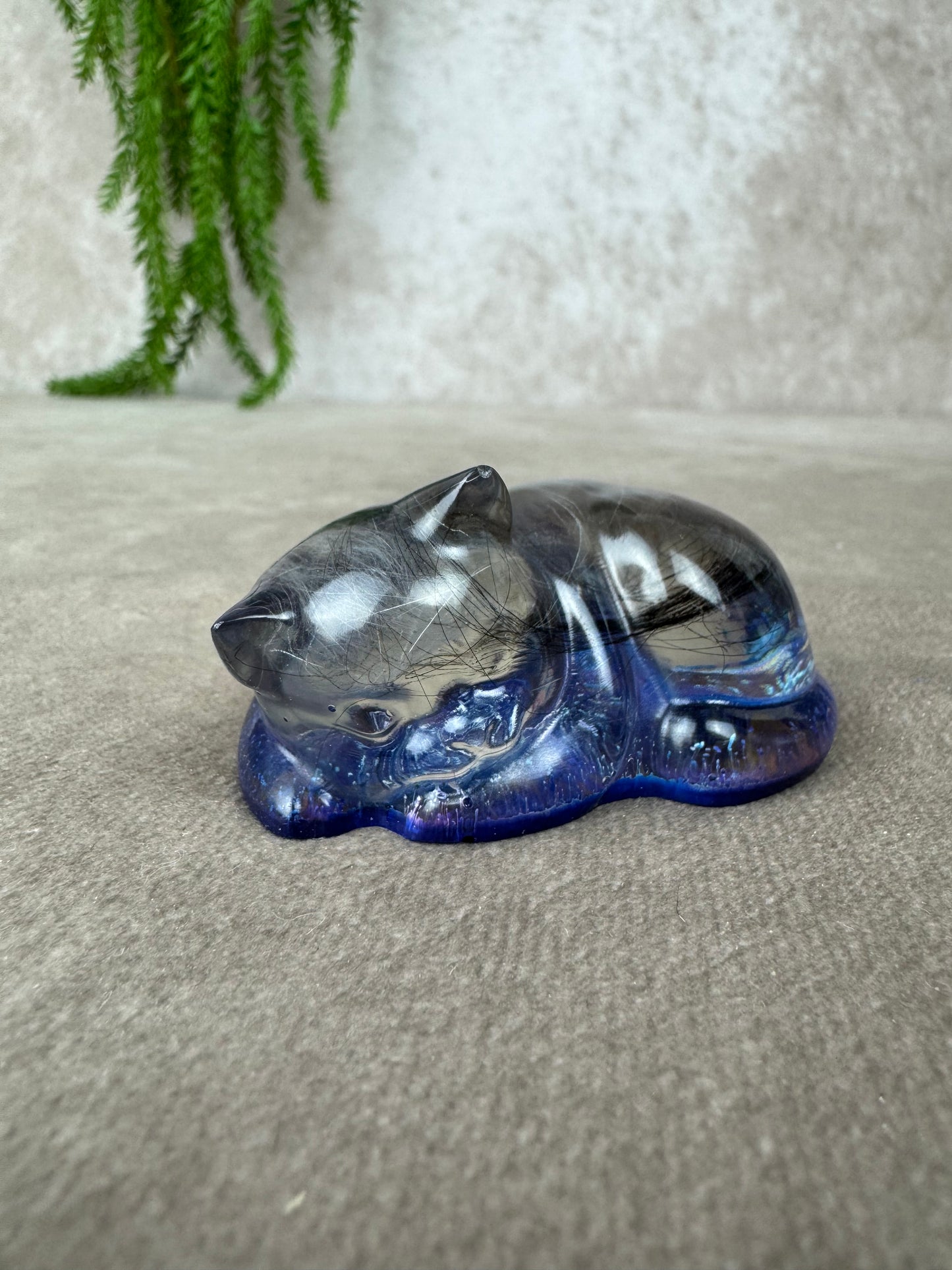Epoxy Kat kijkend
