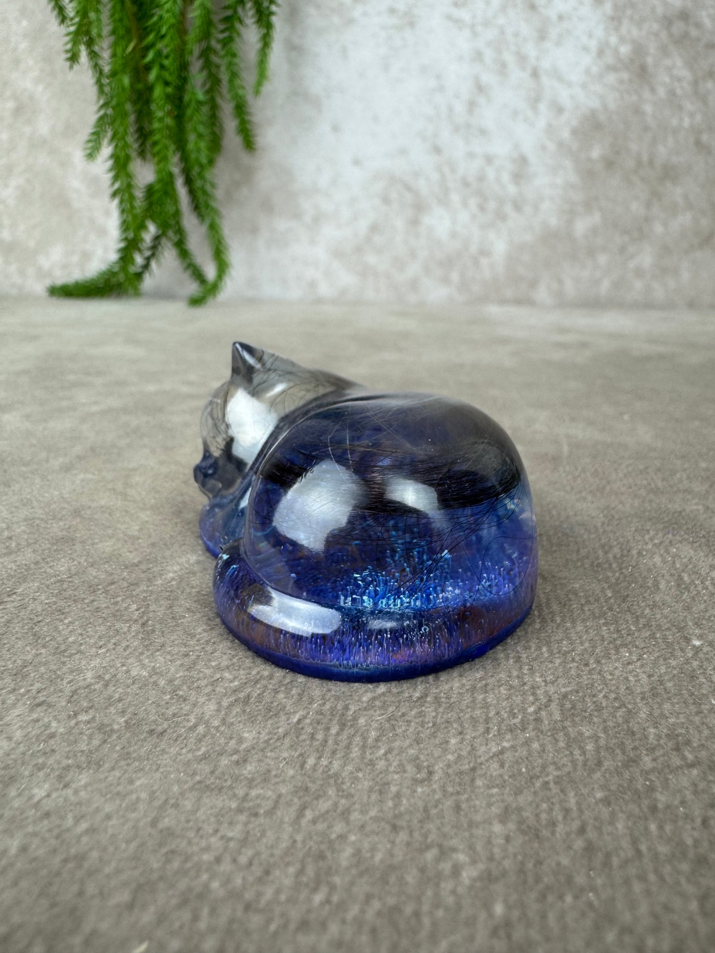Epoxy Kat kijkend