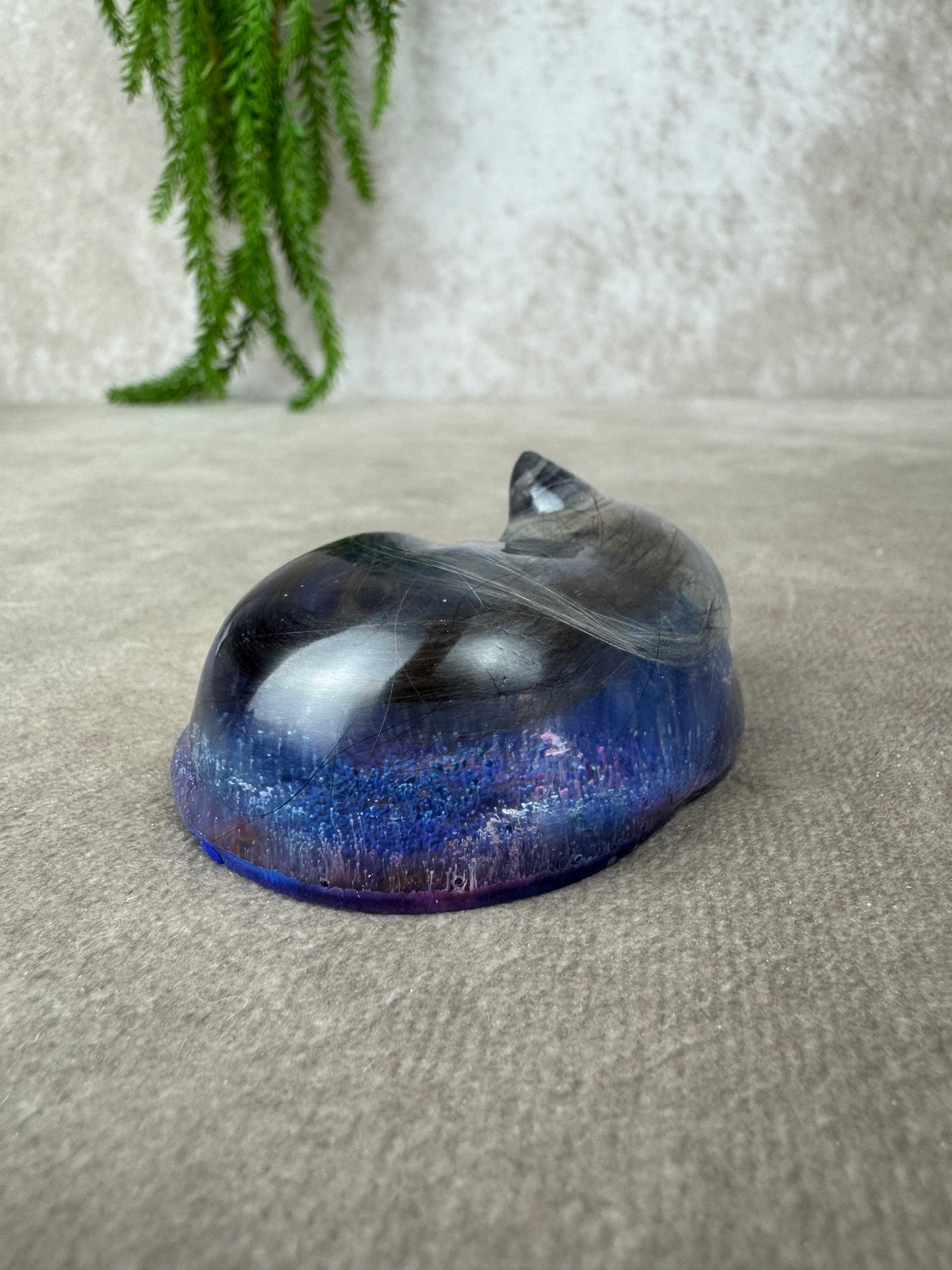 Epoxy Kat kijkend