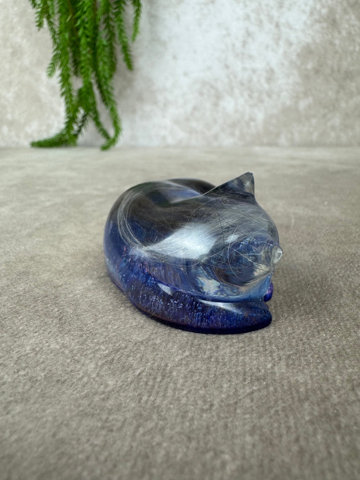 Epoxy Kat kijkend
