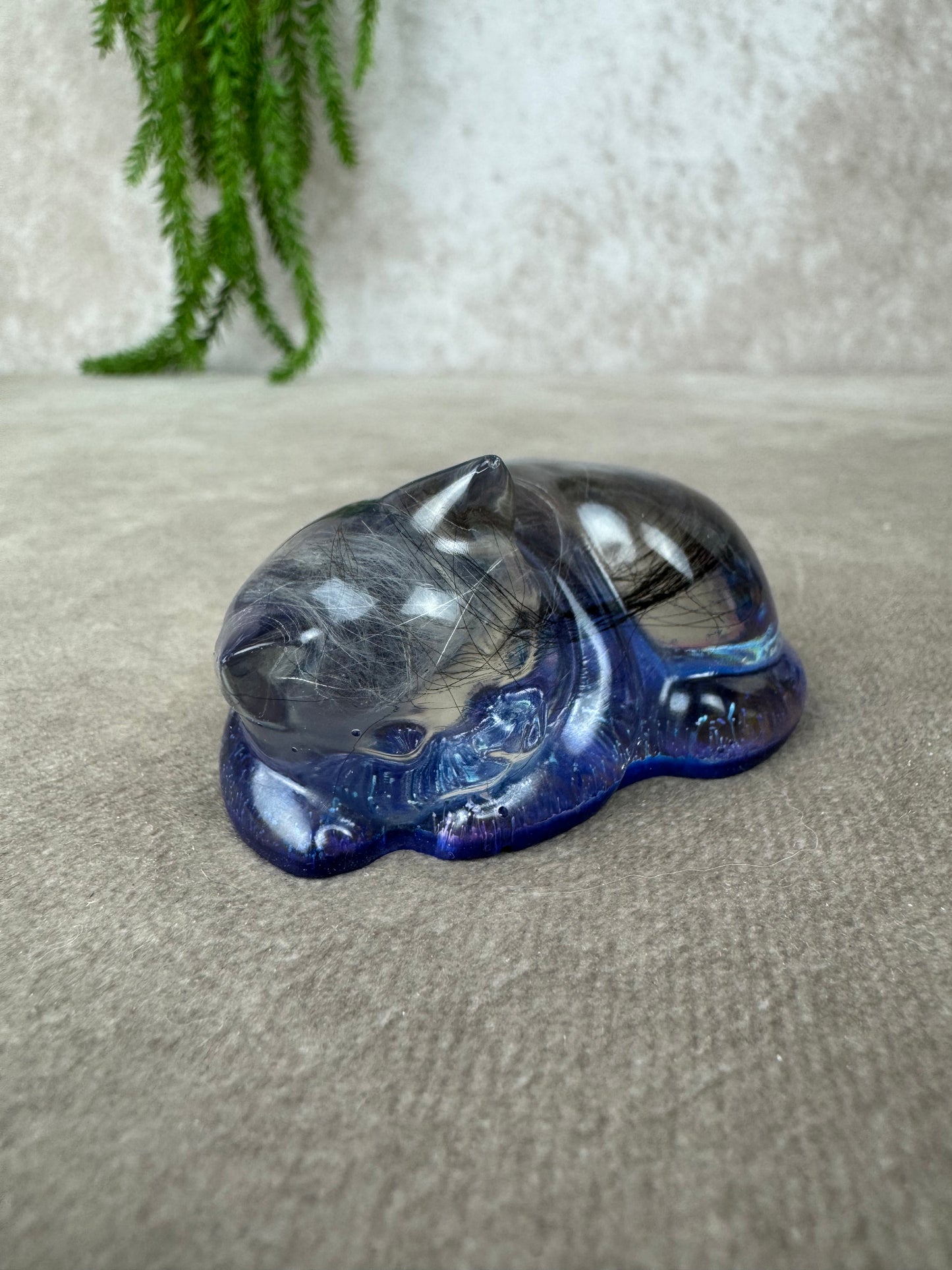 Epoxy Kat kijkend