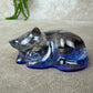 Epoxy Kat kijkend