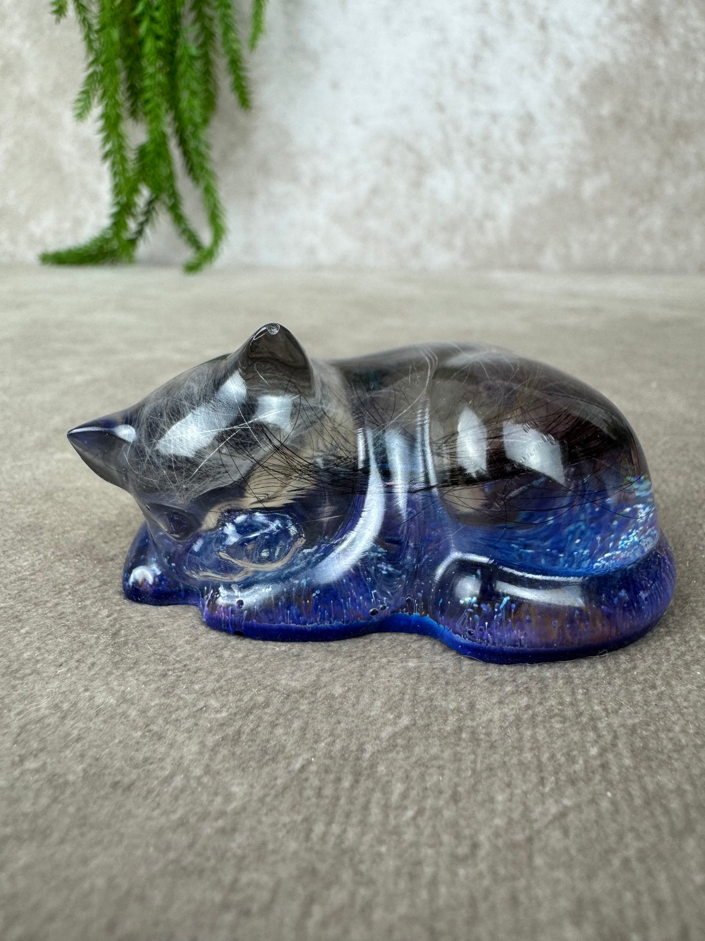 Epoxy Kat kijkend