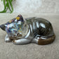 Epoxy Kat kijkend