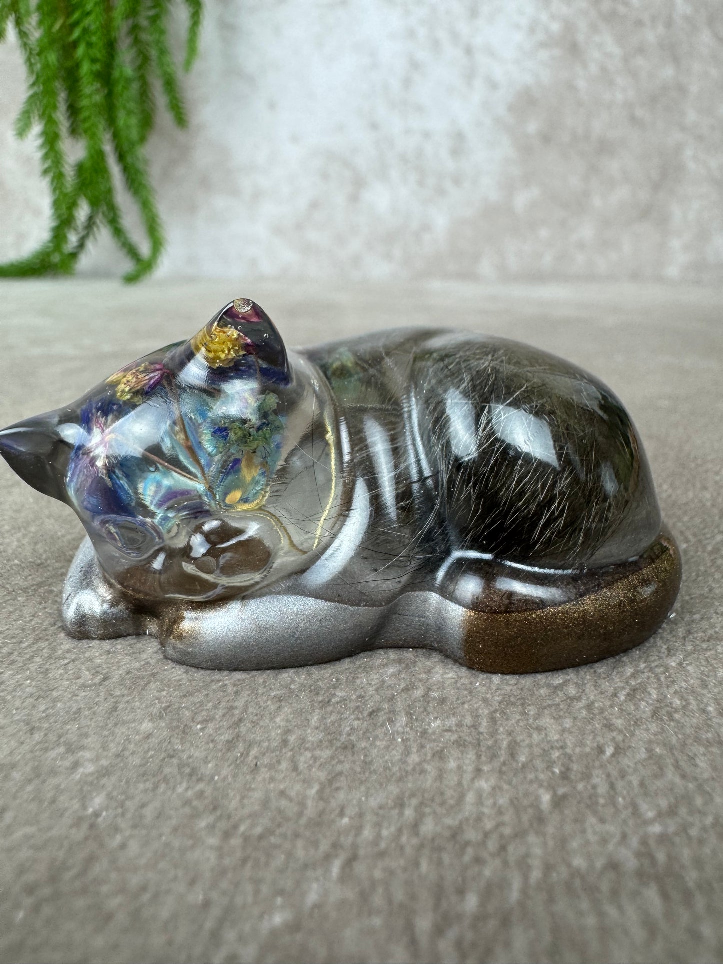 Epoxy Kat kijkend