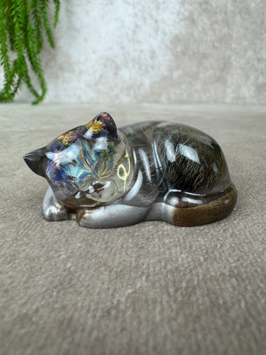 Epoxy Kat kijkend