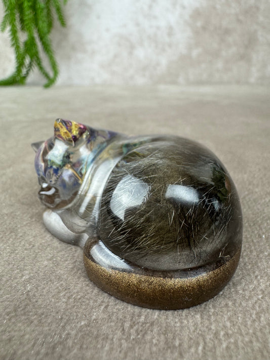 Epoxy Kat kijkend