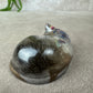 Epoxy Kat kijkend